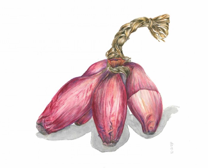 Sarah Löcker, Illustration
