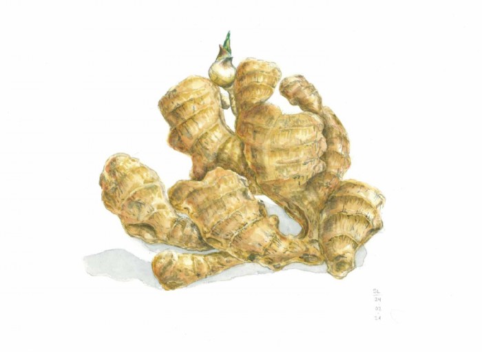 Sarah Löcker, Illustration