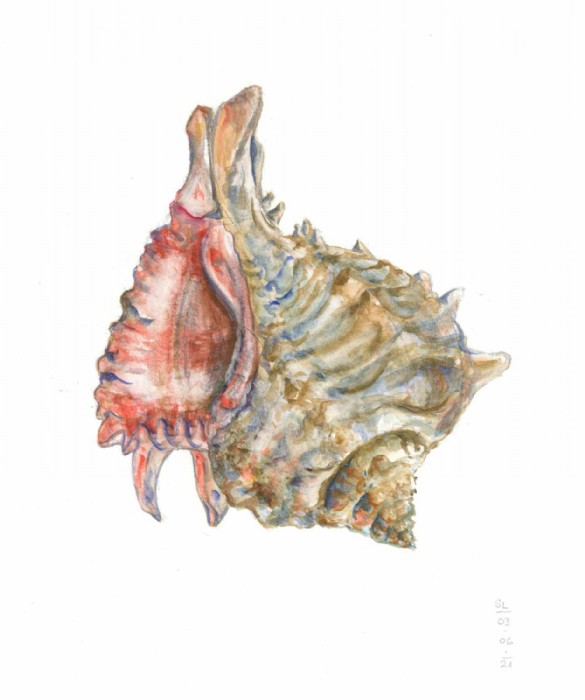 Sarah Löcker, Illustration