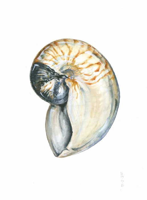 Sarah Löcker, Illustration