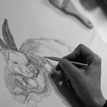pinu - Agentur für Illustration