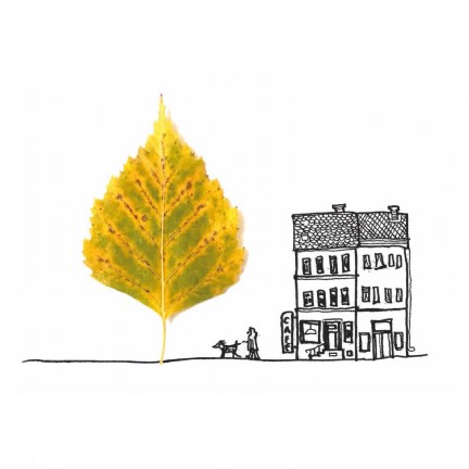 Eva Pils - Illustration, Animation - pinu