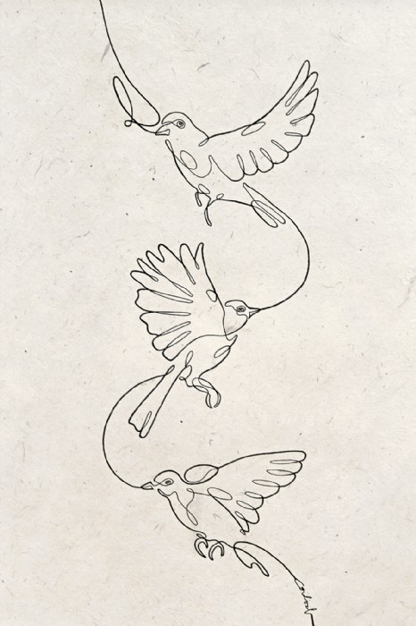 Carmen Cordial, Bird_C de CORDIAL, Illustration