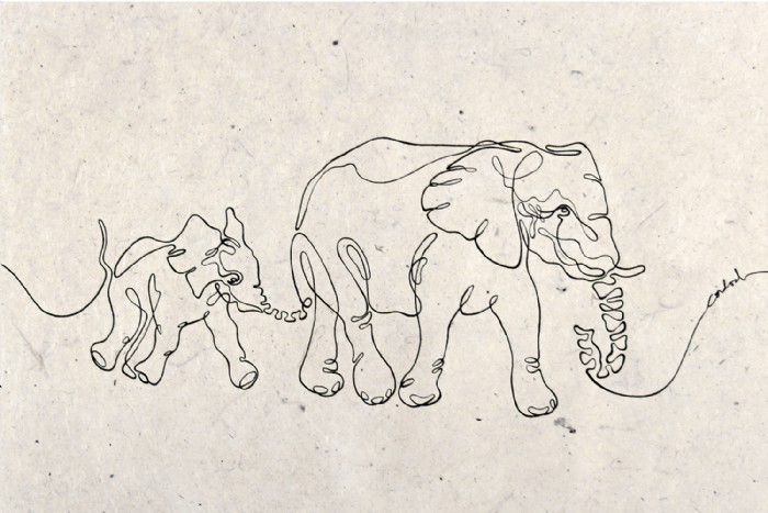 Carmen Cordial, Elephants_C de CORDIAL, Illustrati