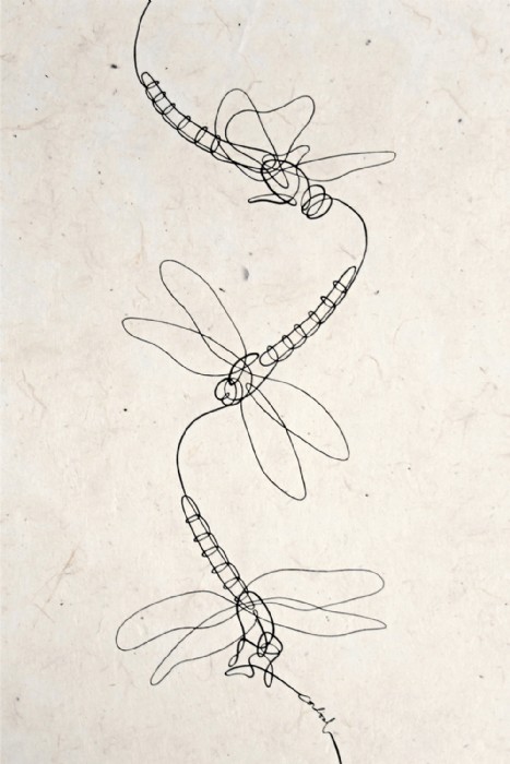 Carmen Cordial, Dragonfly_C de CORDIAL, Illustrati