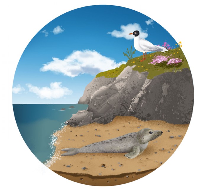 Laura Schindler, Die Gruenen Biodiversity_Animatio