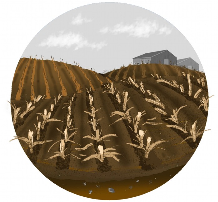 Laura Schindler, Die Gruenen Biodiversity_Animatio