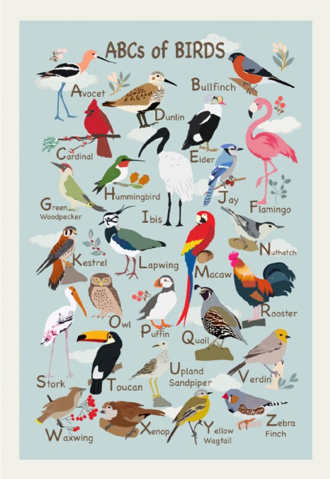 Geentanjali Behera, ABC's of Birds / Surface patte