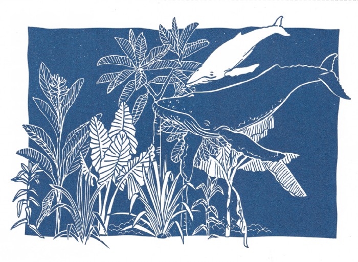 Jana Grabner, whale-editorial-druckzeug, Illustrat