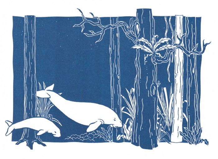 Jana Grabner, dougong-editorial-druckzeug, Illustr