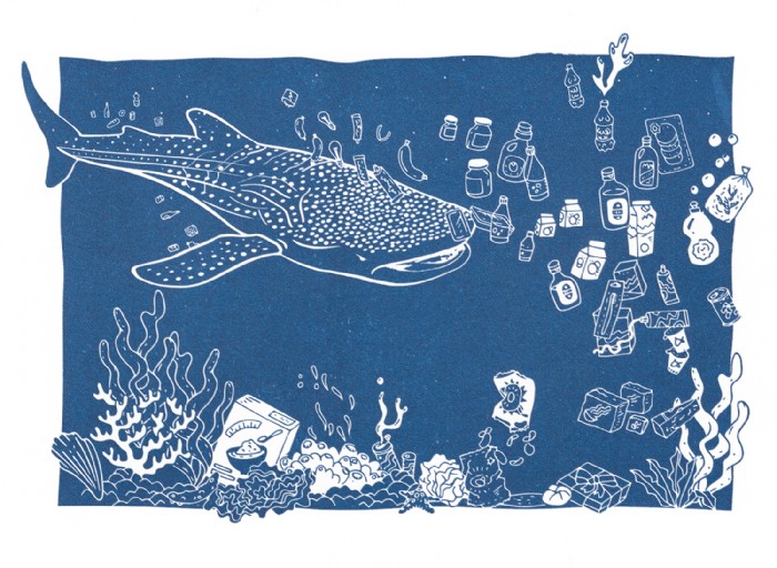 Jana Grabner, whaleshark-editorial-druckzeug, Illu
