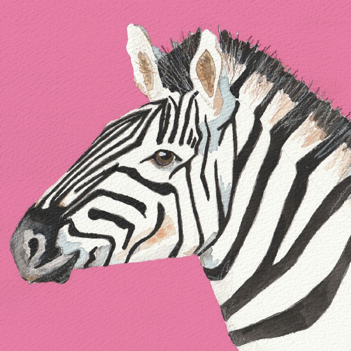 Robert Kirschner, Zebra, Illustration