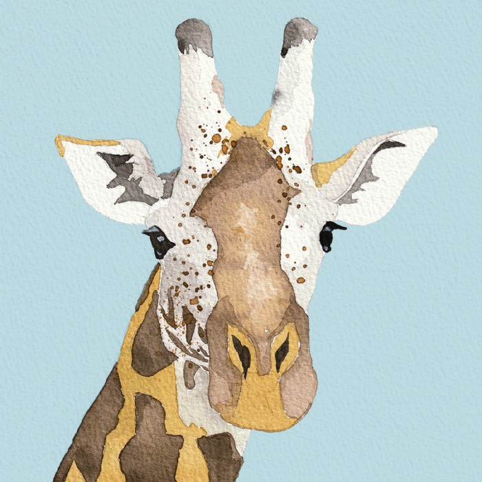 Robert Kirschner, Giraffe, Illustration