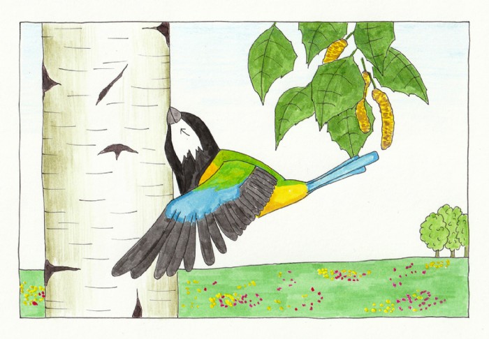 Robert Kirschner, Vögel 02, Illustration