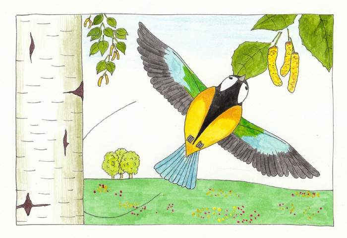 Robert Kirschner, Vögel 03, Illustration