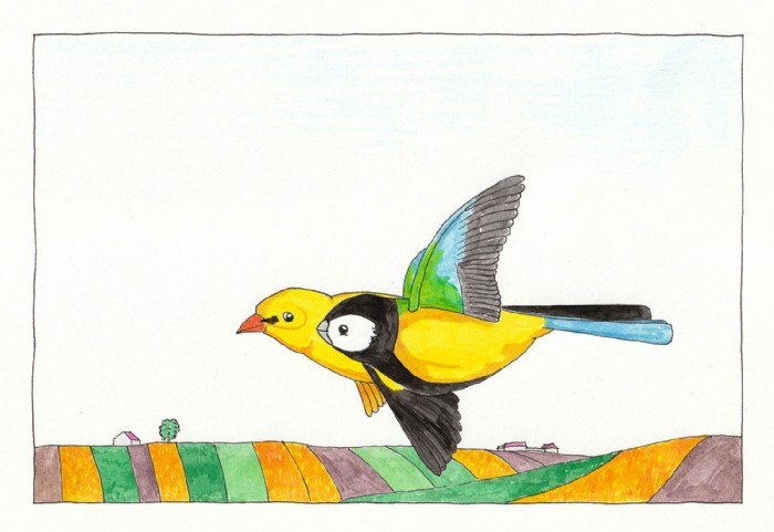 Robert Kirschner, Vögel 04, Illustration
