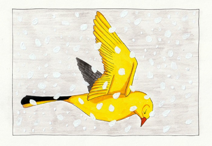 Robert Kirschner, Vögel 06, Illustration