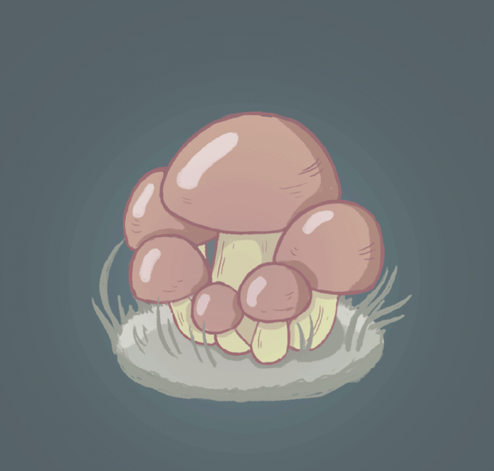 Anna Prem, Pilz_Animation, Illustration