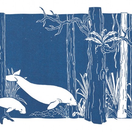 Jana Grabner - Illustration, Kinderbuch - pinu