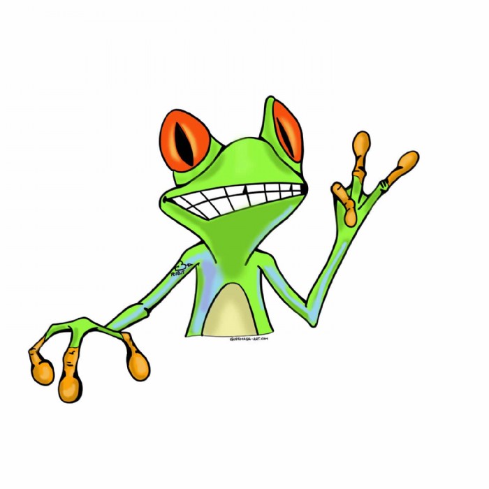 Reinhard Gussmagg, 2 Digital RUBIT Frog