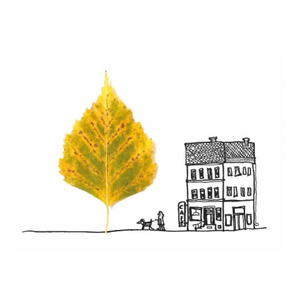 Eva Pils - Illustration, Animation - pinu
