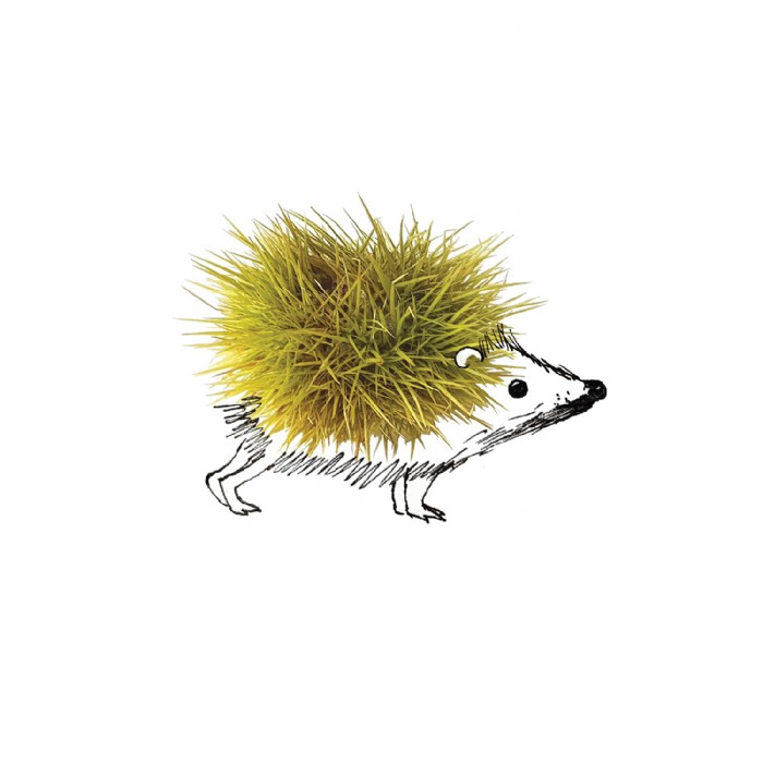 Eva Pils, Igel_Little things Serie, Illustration