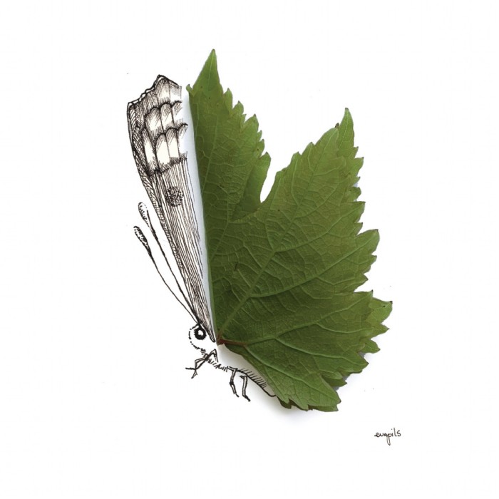 Eva Pils, Schmetterling_Little things Serie, Illus