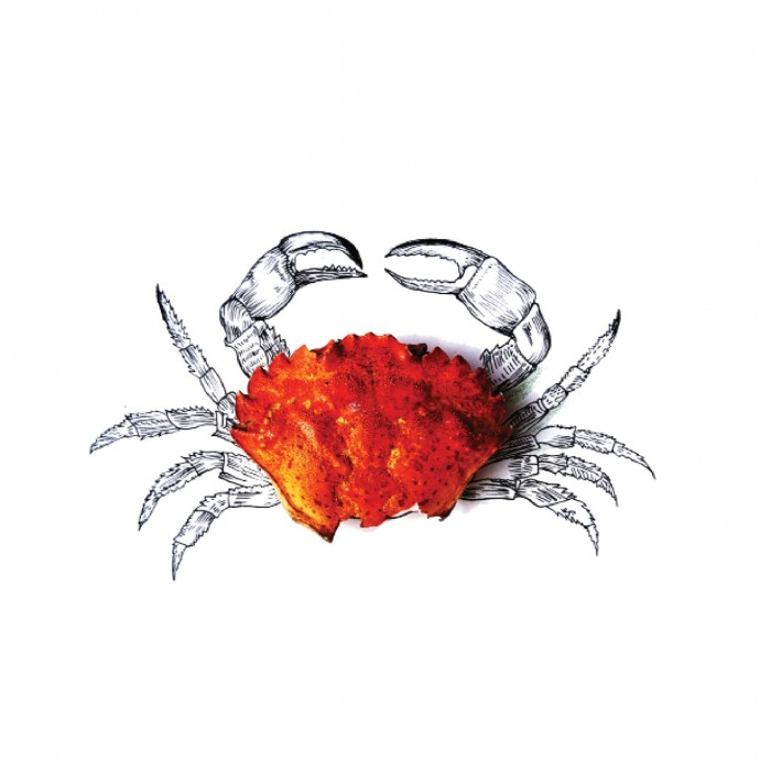 Eva Pils, Taschenkrebs Rekonstruktion_Little thing