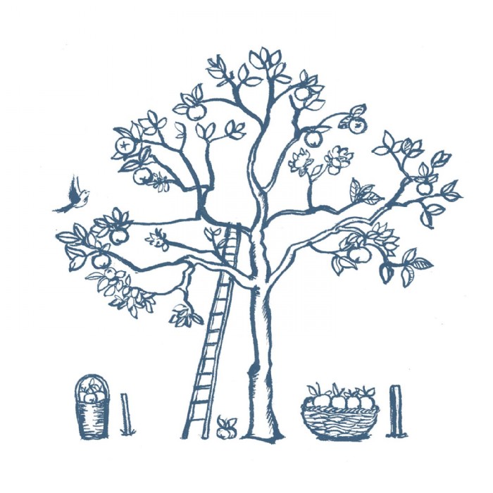 Eva Pils, Kraemerwirt Strasswalchen Buchillustrati