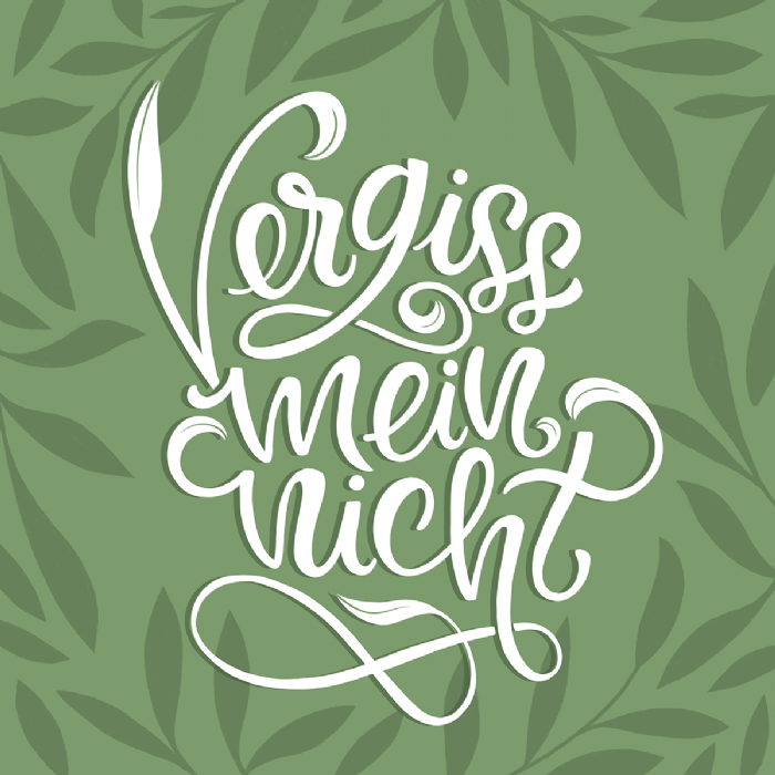 Anja Grohmann, vergissmeinnicht, Illustration - Le
